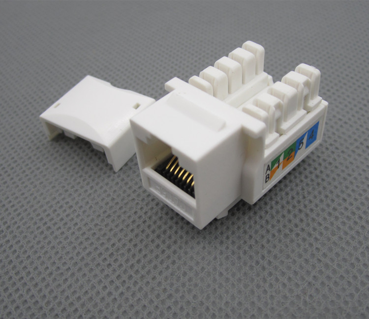 安普科熊超五类模块 rj45水晶头 8芯网络模块 超5类百兆模块网线