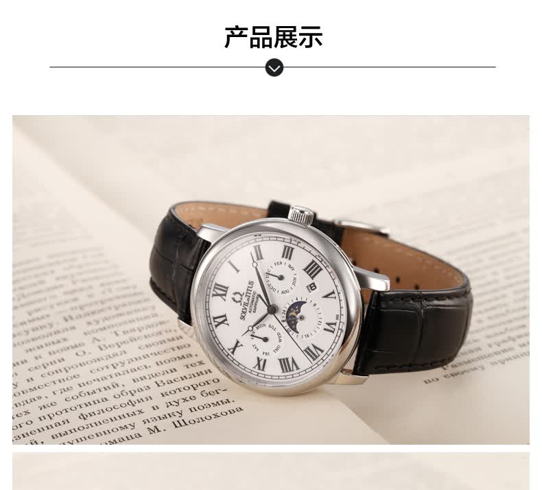 titus铁达时男士手表天长地久系列商务休闲多功能自动机械皮带男表06