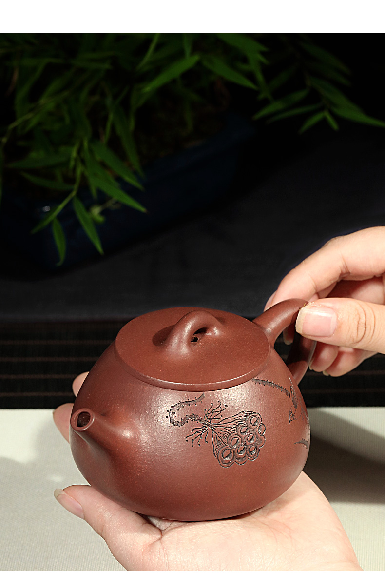 藏壶天下宜兴紫砂壶戴晨光9孔全手工茶壶家藏老底槽青石瓢金莲生香