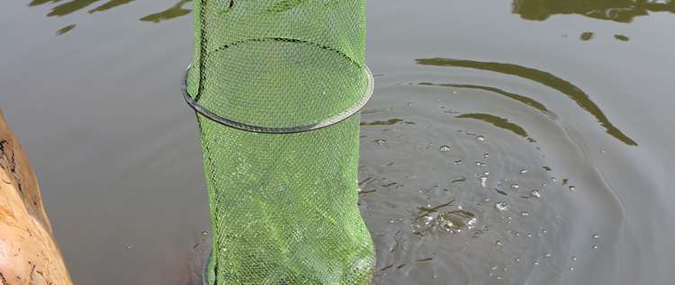 竞技鱼护网兜涂胶黑坑渔护渔具渔网万向鱼兜防挂装鱼袋 25cm*1.1m