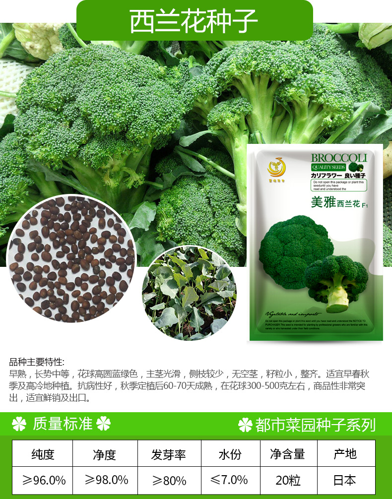 松花菜菜花种子青梗松花菜种子四季蔬菜种子花椰菜菜花菜种子春季阳台