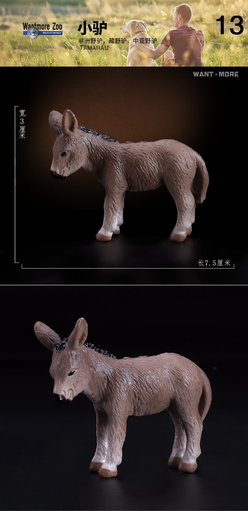 野生动物狗兔牛马猪模型 儿童认知玩具3-10岁 小水牛【图片 价格 品牌