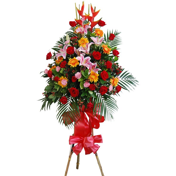 花材:单层开业花篮:蟹钳(如无将换成2支天堂鸟或剑兰4支)2支 20枝红