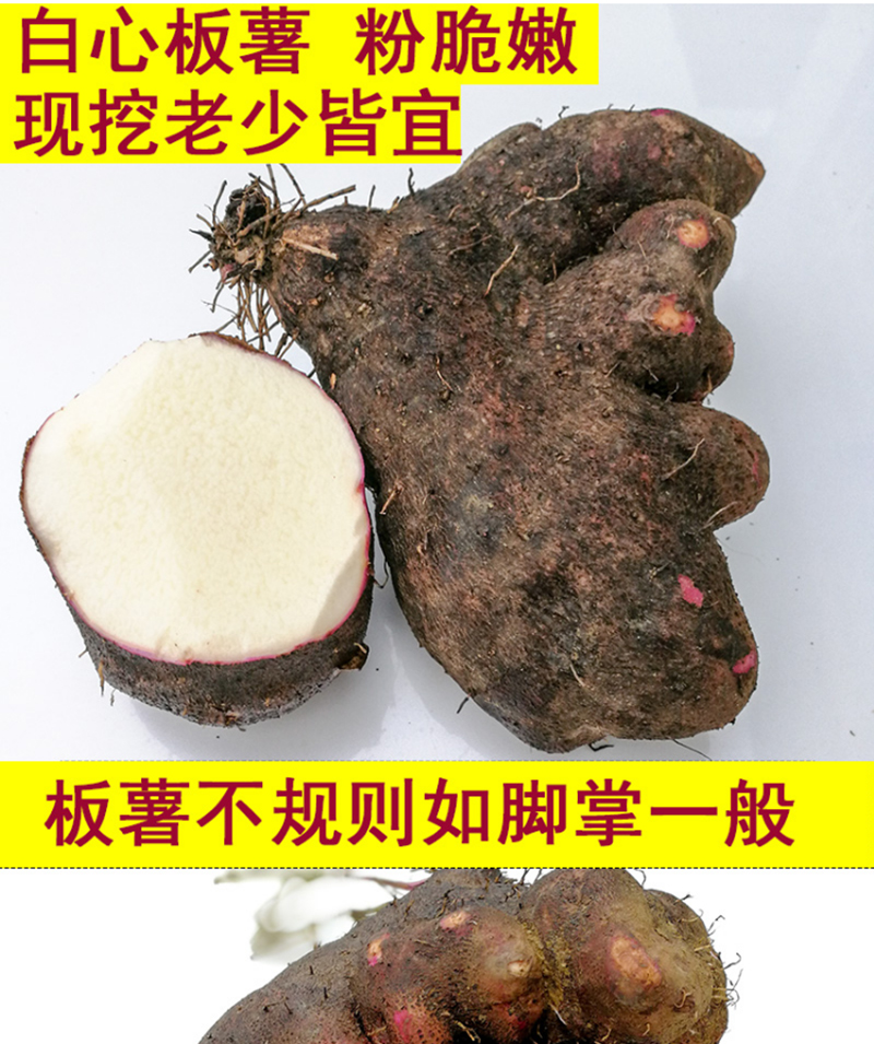 紫皮白心薯新鲜现挖脚板薯大薯毛薯紫玉淮山药25kg