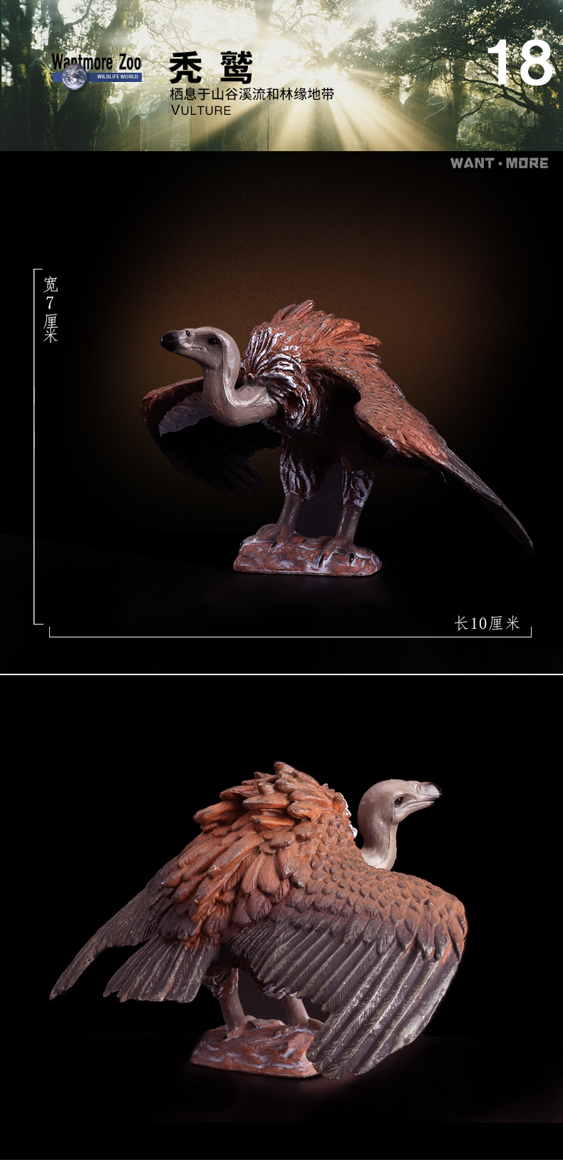 玩模乐飞禽动物模型 孔雀猫头鹰鸵鸟雪鸥 蓝脚鲣鸟鹦鹉飞鹤 秃鹫鹈鹕