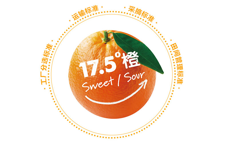 【官方直供 顺丰配送】农夫山泉橙 17.