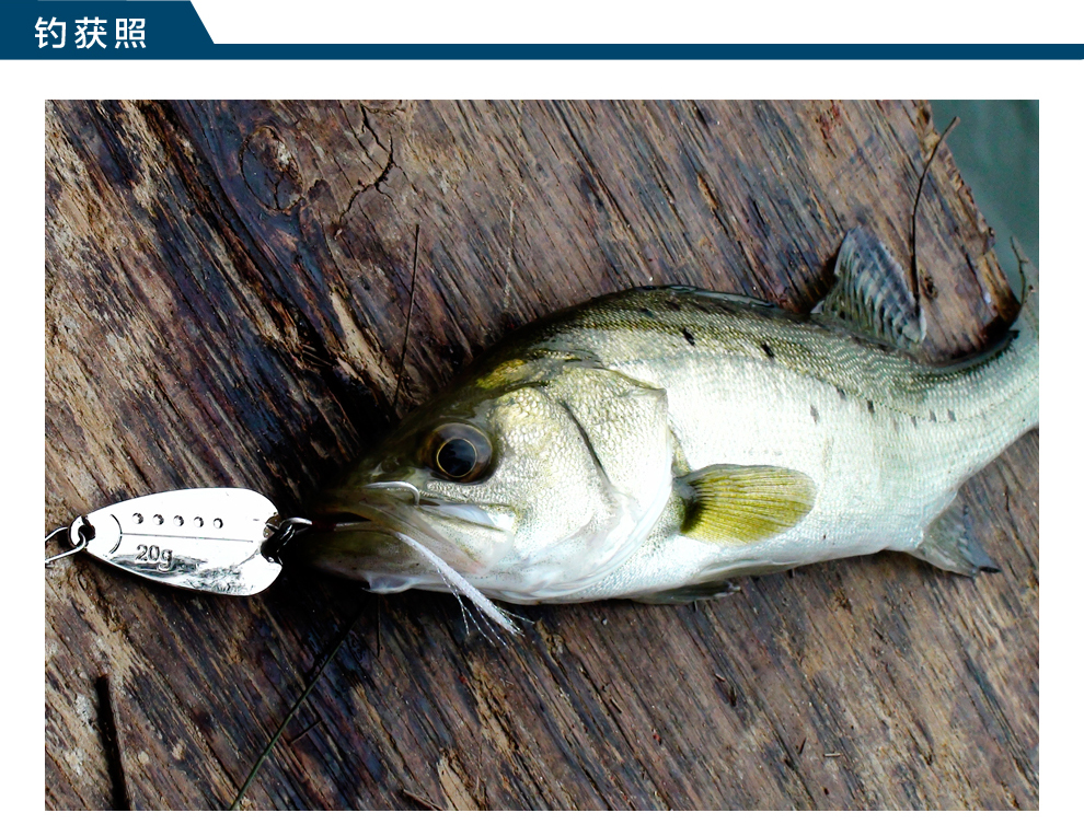 路亚亮片 仿生假饵 远投鱼饵 淡水海水拟饵 鲈鱼翘嘴专杀 金黄 10克