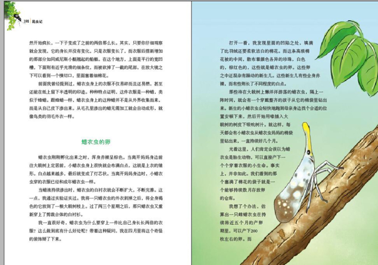 昆虫记(上下册)全译美绘版