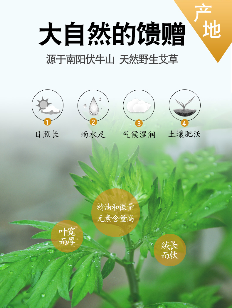 zhqi 野生艾叶陈艾草蕲艾叶草干艾草叶艾绒干艾叶泡脚包艾灸泡澡 三斤