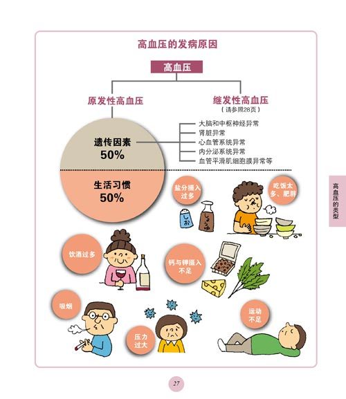 《高血压自我调理手册(修订本) 》【摘要 书评 试读】- 京东图书