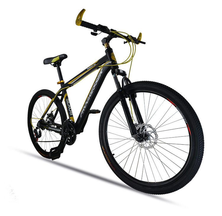 耐嘛21速铝合金减震山地自行车双碟刹26寸男女款 兰黑色