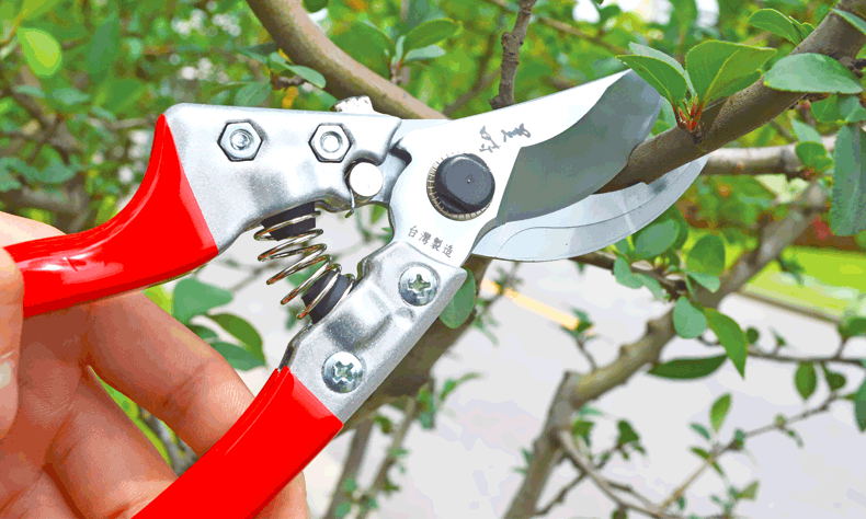 美时园艺 台湾正品修剪刀 美时v8修枝剪 园林园艺剪刀 果树修枝剪