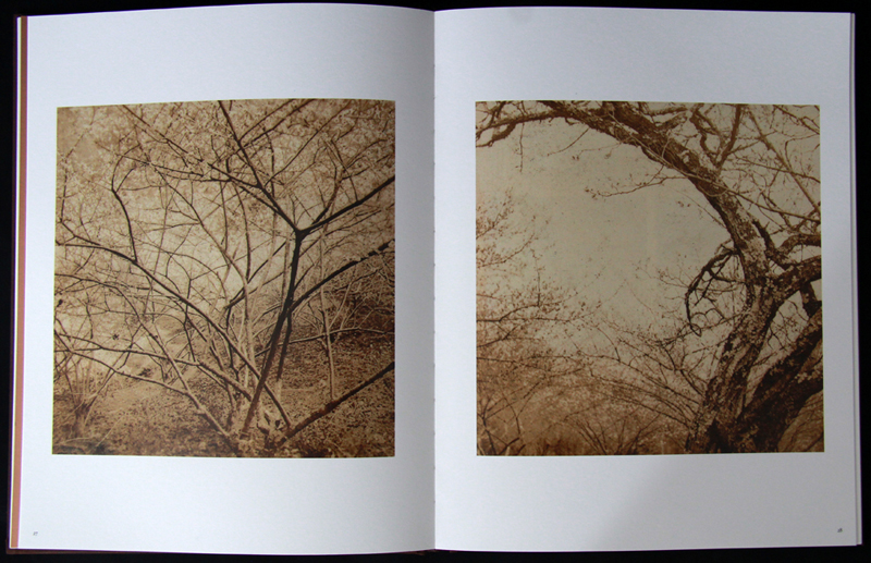 书名:骆伯年 出 版 社:北京联合出版公司 isbn:97