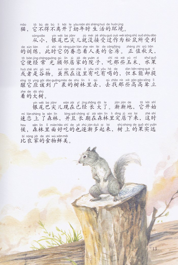 小木马童书 松鼠银尾巴尖儿(彩绘拼音版)(第三辑)