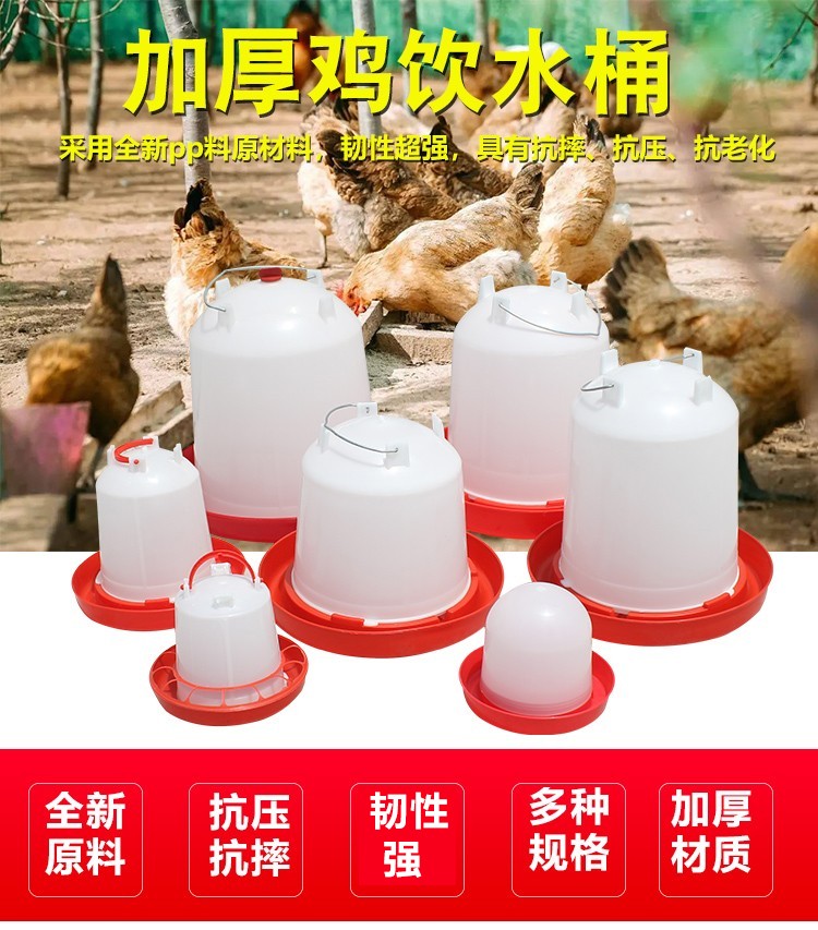 耐尔尼 鸡用自动饮水器 喂水器饮水壶 小鸡鸭鹅鸽子水桶养鸡用品 鸡
