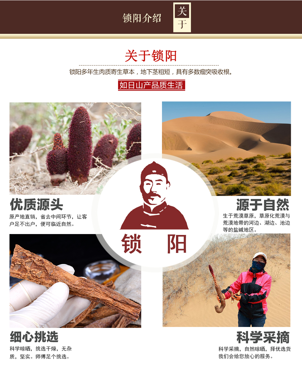 锁阳 锁阳条泡酒料 整枝干锁阳 锁阳 100克【图片 价格 品牌 报价】