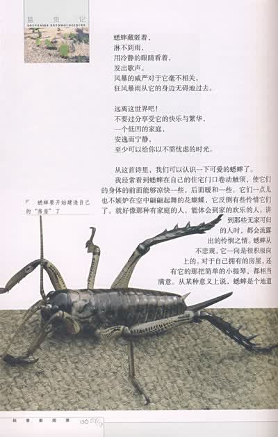 目录 论祖传 神秘的池塘 石蚕 蜣螂 蝉 泥水匠蜂 螳螂 蜜蜂,猫和红