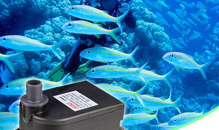 佳宝jebo鱼缸水族箱静音潜水泵抽水泵吸污吸便吸杂质增氧过滤促进水