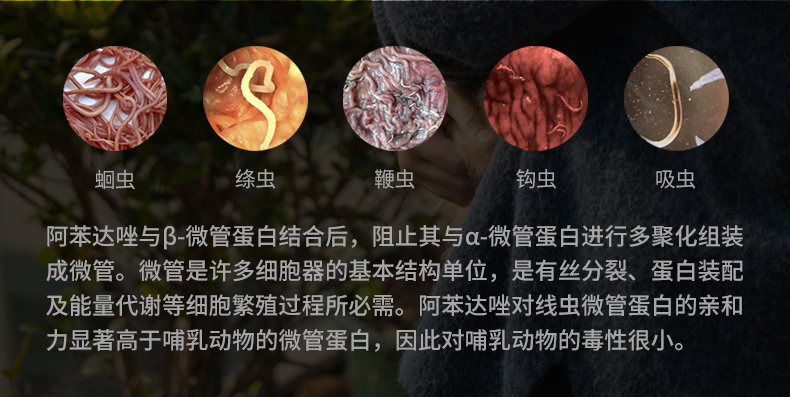 小宠阿苯达唑片体内驱虫狗狗宠物猫咪打虫药寄生虫线虫绦虫金毛