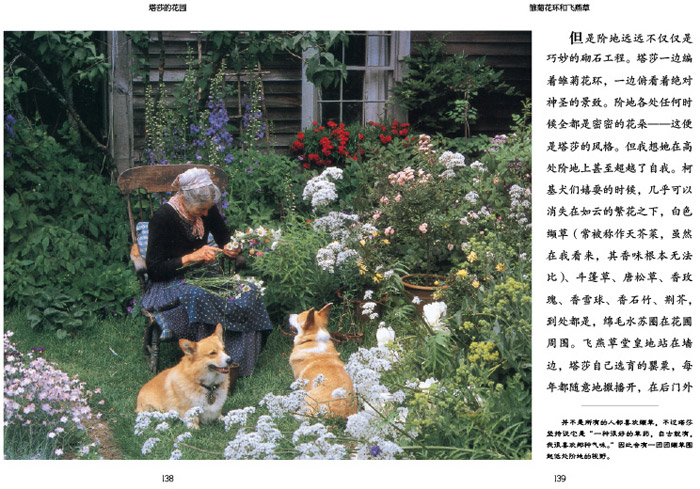 塔莎的花园全套3册 园艺种植书塔莎奶奶的美好生活 家庭园艺种球 塔莎