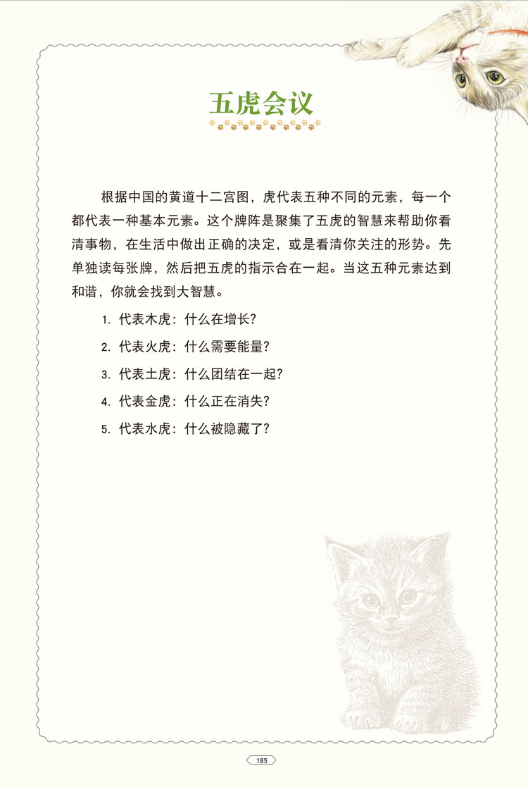 泽扬猫魅塔罗牌韦特系全套78张初学者原版引进套装游戏牌含无纺桌布