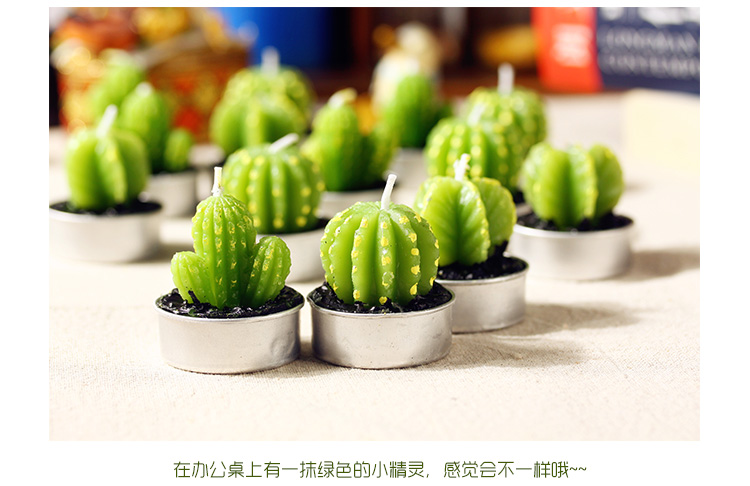 玩者 仙人掌造型香味蜡烛6只装 浪漫造型蜡烛 生日 情人节 浪漫仙人掌造型蜡烛 树形