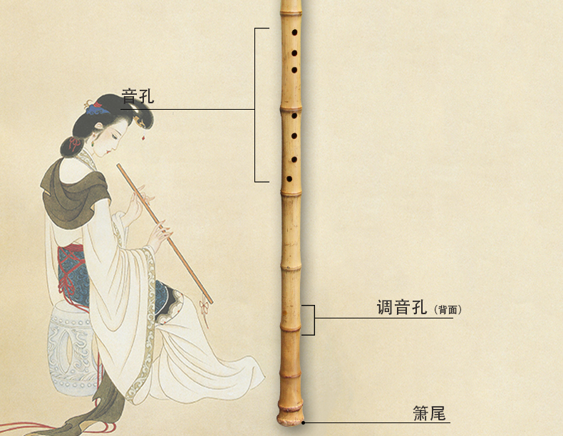 奇宝居 洞箫 箫乐器 箫 九目十节 玉屏根箫 乐器萧 可定制