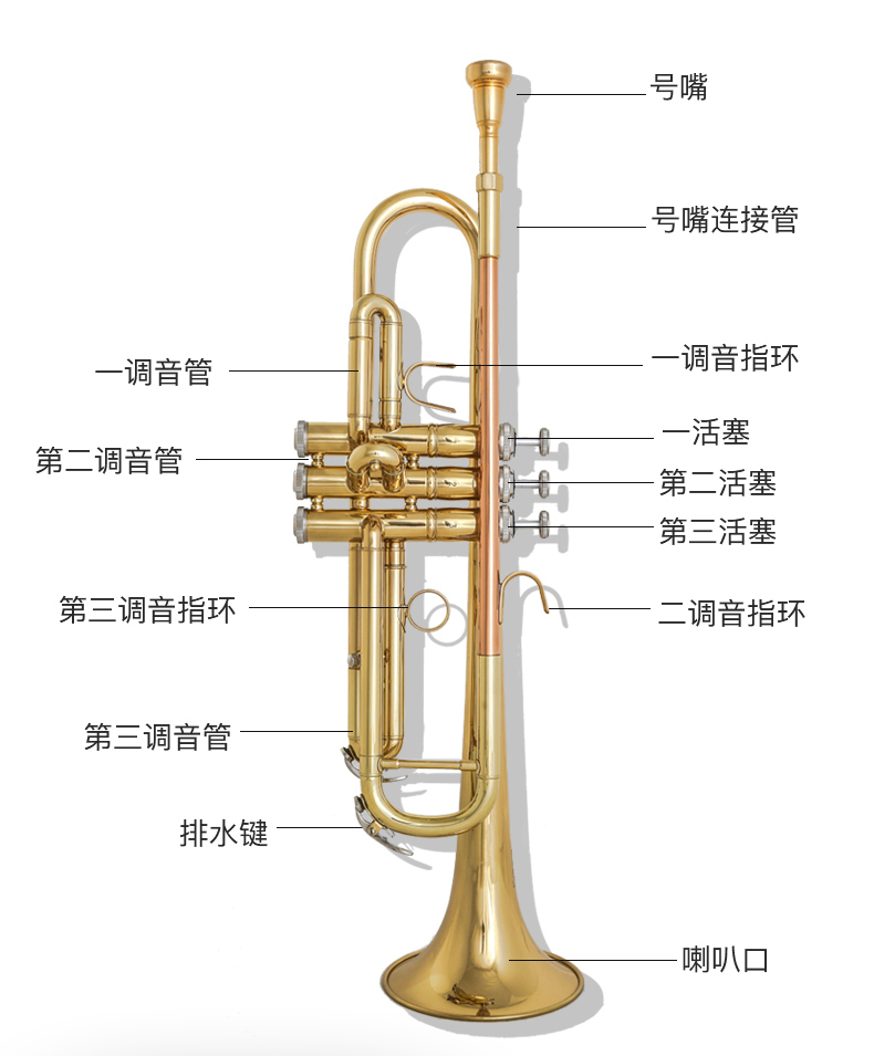 里歌lige降b调小号ltr621