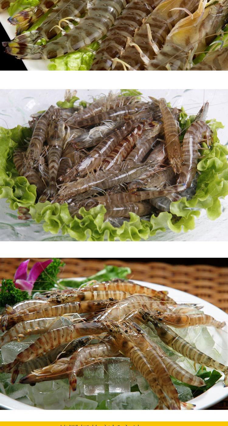 京鲜生 【活鲜】鲜活基围虾 活鲜海鲜 基围虾1000g装