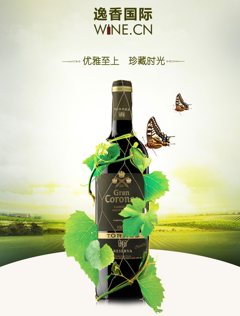 桃乐丝特选(级)王冠干红葡萄酒 750ml 西班牙原