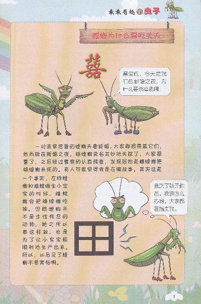 螳螂为什么要吃丈夫 蝉能活多久 天牛是个大力士吗 蠼螋是什么动物