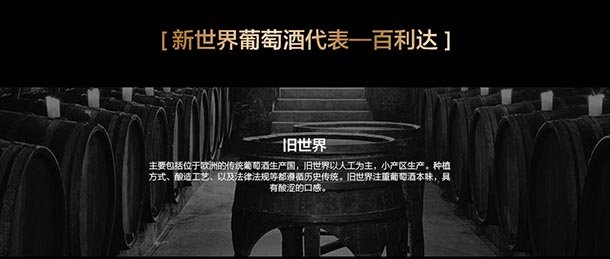 澳洲进口红酒 百利达干红葡萄酒 Palinda酒庄 