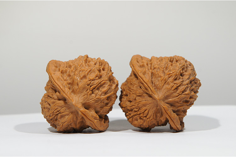 【文玩八方】河北兴隆 野生42mm 状元狮子头 yz18 文玩 把玩 麻核桃