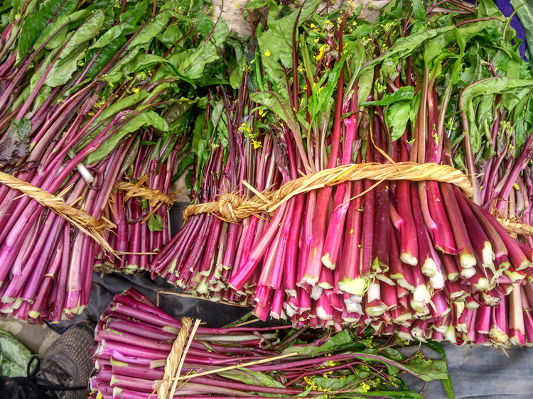农家新鲜红菜苔紫色菜苔洪山菜薹新鲜时令蔬菜8斤