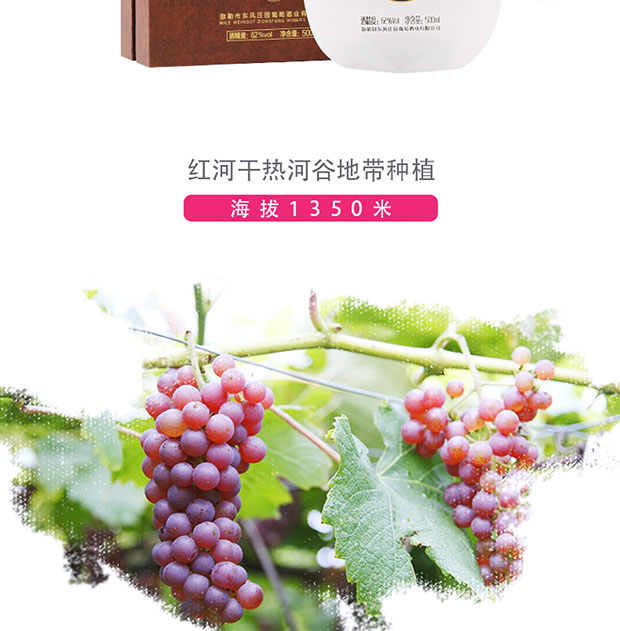 云南红酒 东风庄园葡萄烈酒62度500ML礼盒 高
