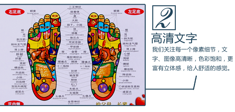 医者意 人体穴位图 人体经络部位 艾灸经穴部位图 人体经穴部位图