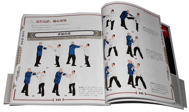 包邮 学拳就学咏春拳[配dvd] 咏春拳训练完整教程 功夫武术拳谱 擒拿