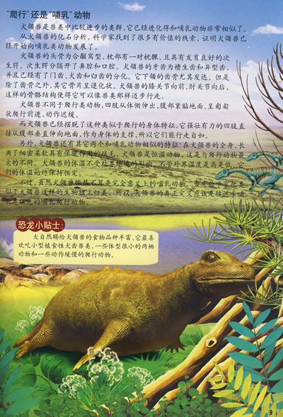 幻龙(nothosaurus) 始盗龙(eoraptor) 真双齿翼龙(eudimorphodon) 原