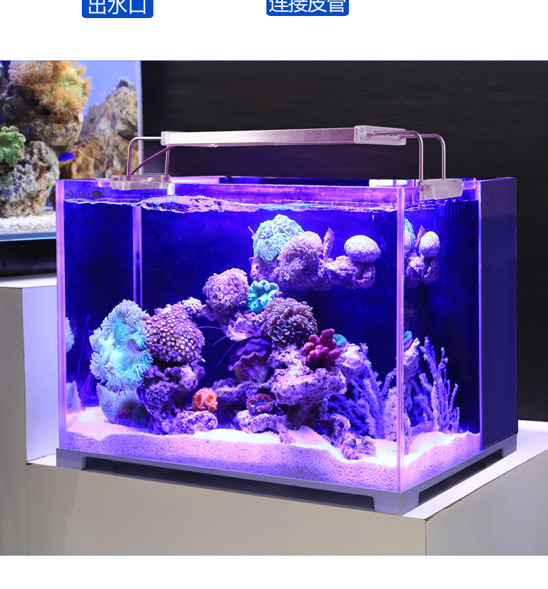 森森超白玻璃海水鱼缸客厅桌面长方形水族箱小型家用茶几生态鱼缸 500