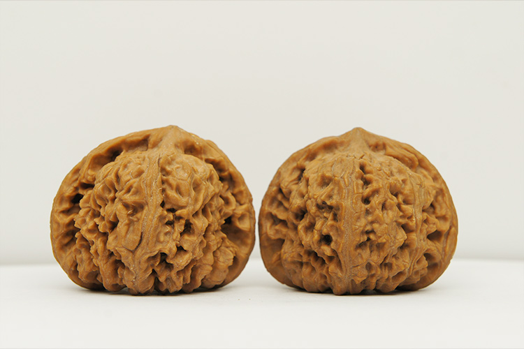 【文玩八方】矮桩 大肚 45mm 南将石狮子头 nj27 文玩 把玩 麻核桃