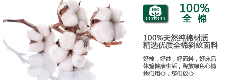 绝趣 全棉床笠床护垫 加厚席梦思保护垫/套 防滑床垫罩 蒲公飞舞 120*200cm