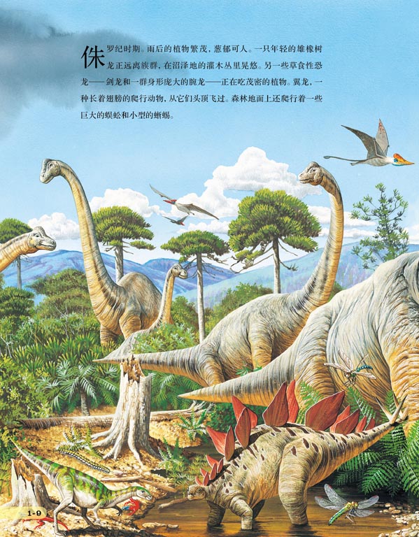 内容提要  史前时期,腕龙,虚骨龙,翼龙等忙着捕食,打斗.
