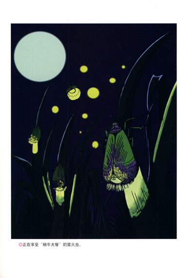 在中国的影响 我的故事 我的昆虫情结 神秘的池塘 石蚕 蝉 蟋蟀 螳螂