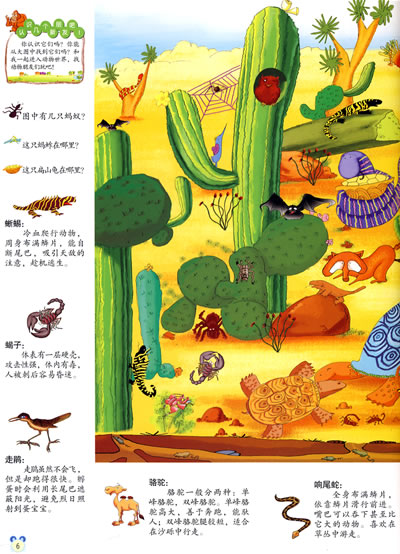 大草原上的动物  沙漠中的动物  森林中的动物  热带雨林中的动物