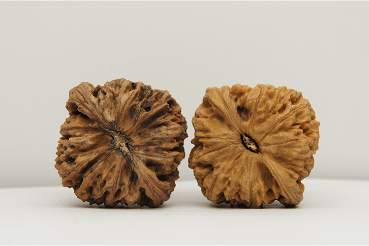 【文玩八方】原桩 大肚 44mm 南将石狮子头 nj44 文玩 把玩 麻核桃