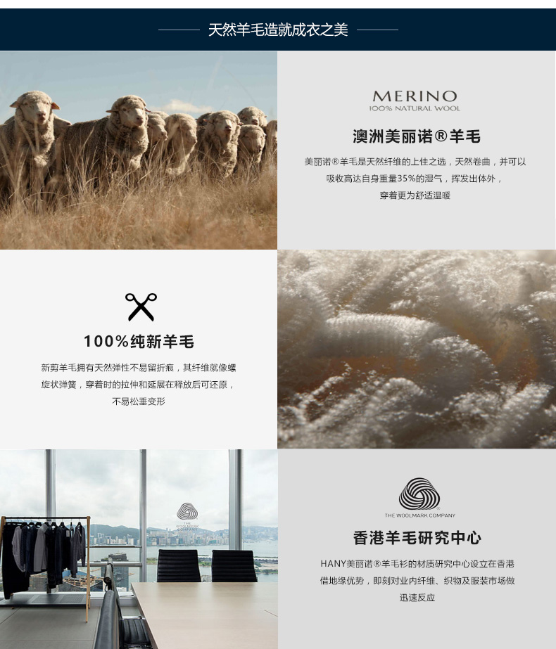 【惠】汉尼hany男士高领100%羊毛衫针织衫 澳洲进口美丽诺羊毛 维希