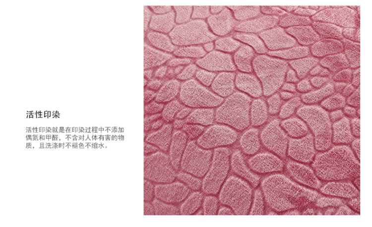 二十一家纺 珊瑚绒毯子盖毯加厚 珊瑚毯冬季保暖床单法兰绒毯毛毯亲肤柔和毯 180x200 奢香-玉色 200*230