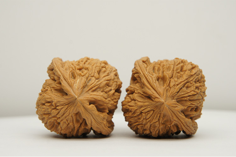 【文玩八方】原桩 大肚 41mm 南将石狮子头 nj68 文玩 把玩 麻核桃