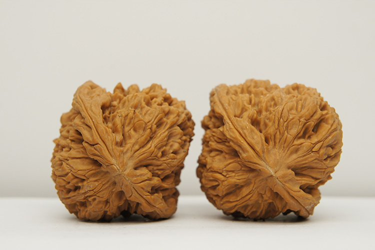 【文玩八方】原桩 大肚 44mm 南将石狮子头 nj19 文玩 把玩 麻核桃