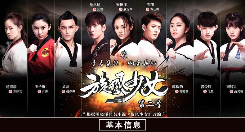 正版电视剧碟片光盘旋风少女第2季珍藏版10dvd池昌旭陈翔